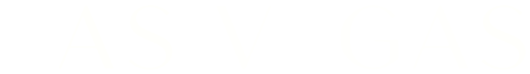 Las Vegas Consultoria de Negócios